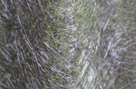 Broomhill Bank fibreglass roof work